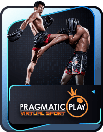 Pragmatic Virtual
