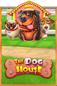 Dog House Megaway (Pragmatic Play)