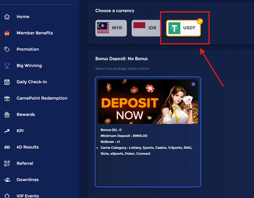 Online dashboard shows currency selection, USDT chosen. "Deposit Now" promo highlighted with a woman image. Dark blue background.